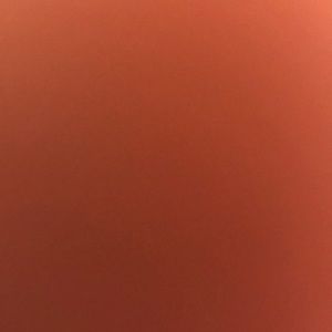 Meet your Posher, Perla